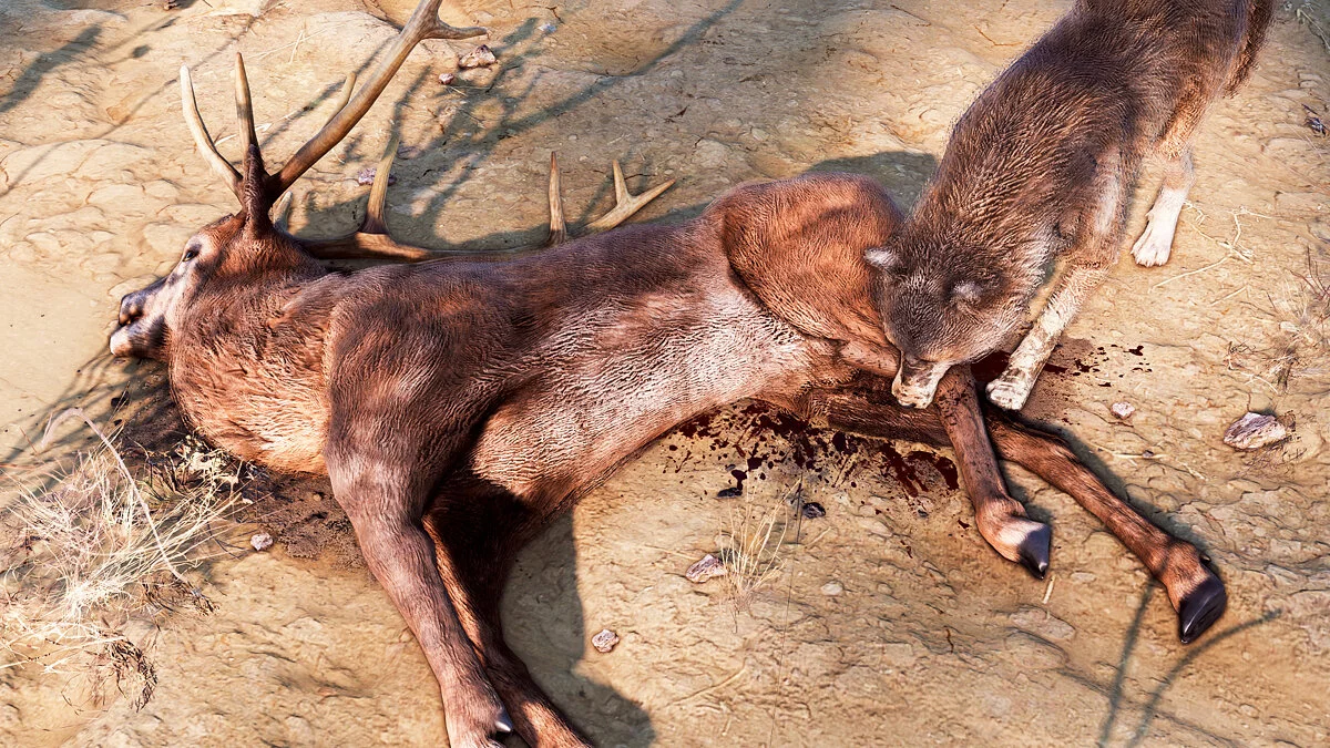 Скриншот из игры Dead Man's Country - 5