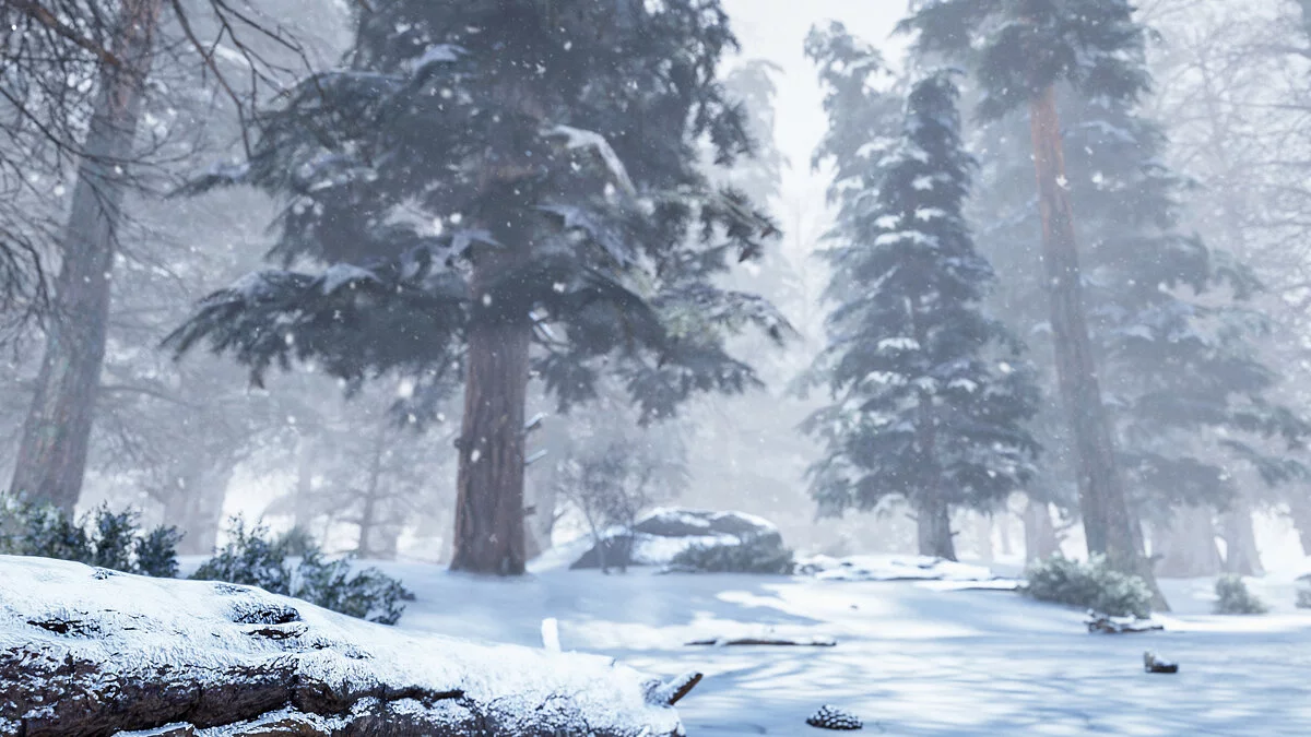 Скриншот из игры Dead Man's Country - 4