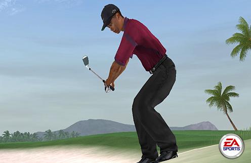 Скриншот из игры Tiger Woods PGA Tour 2005 - 21