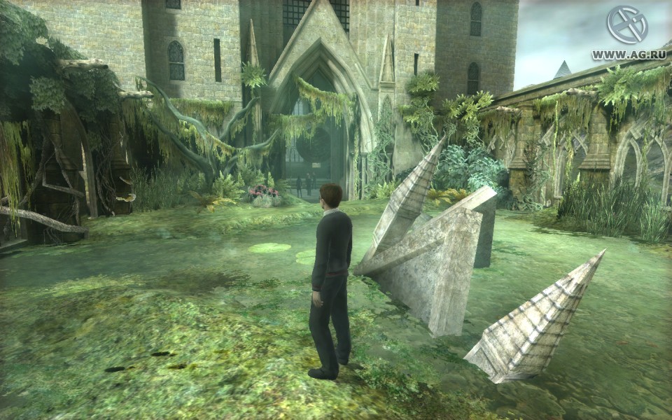 Скриншот из игры Harry Potter and the Order of the Phoenix - 56