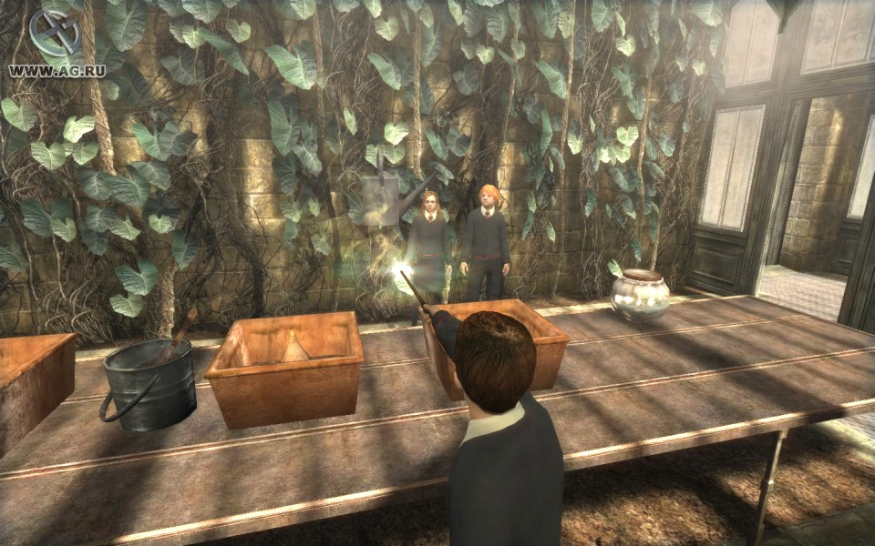 Скриншот из игры Harry Potter and the Order of the Phoenix - 61