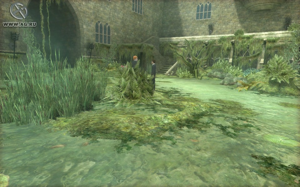 Скриншот из игры Harry Potter and the Order of the Phoenix - 110