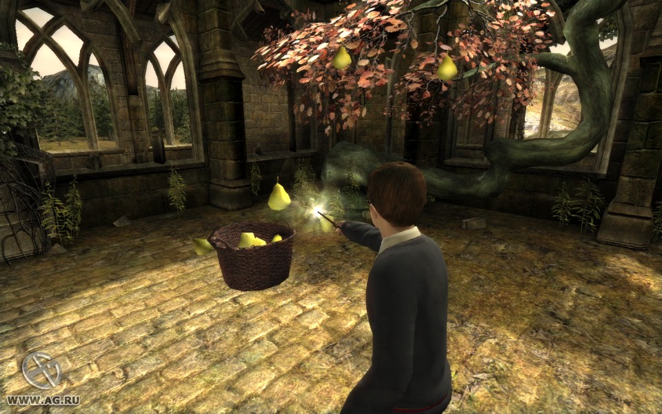 Скриншот из игры Harry Potter and the Order of the Phoenix - 62