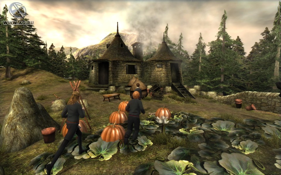 Скриншот из игры Harry Potter and the Order of the Phoenix - 37