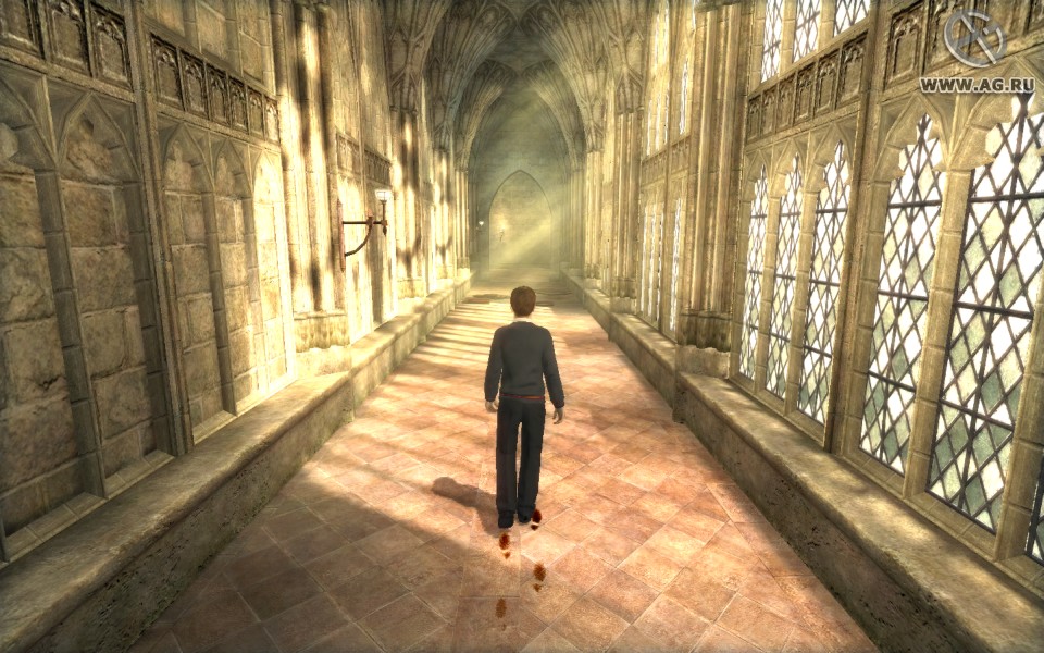 Скриншот из игры Harry Potter and the Order of the Phoenix - 58