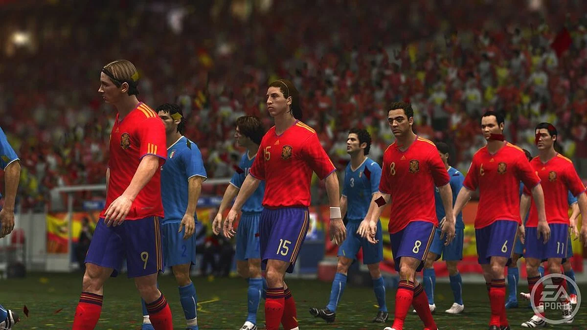 Скриншот из игры 2010 FIFA World Cup South Africa - 65