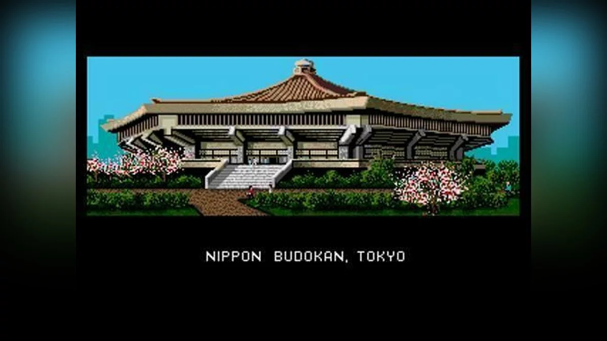 Скриншот из игры Budokan: The Martial Spirit - 6