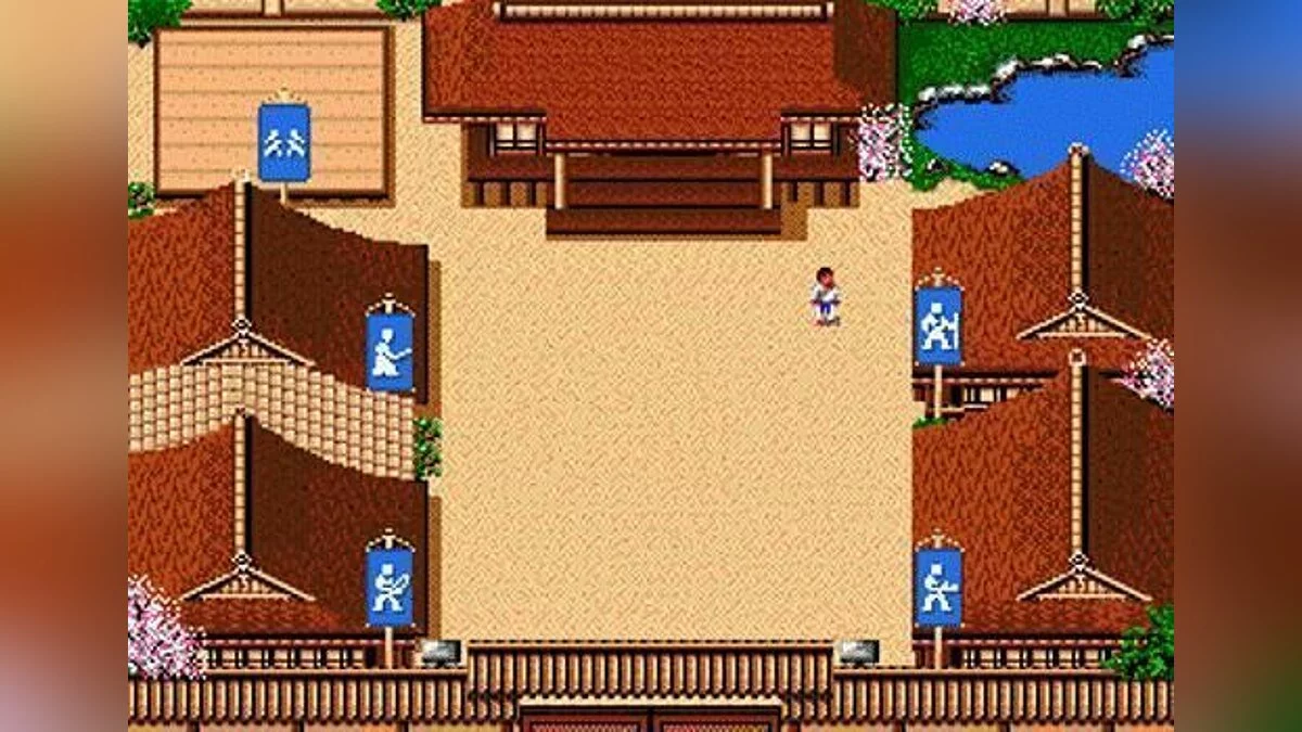 Скриншот из игры Budokan: The Martial Spirit - 3