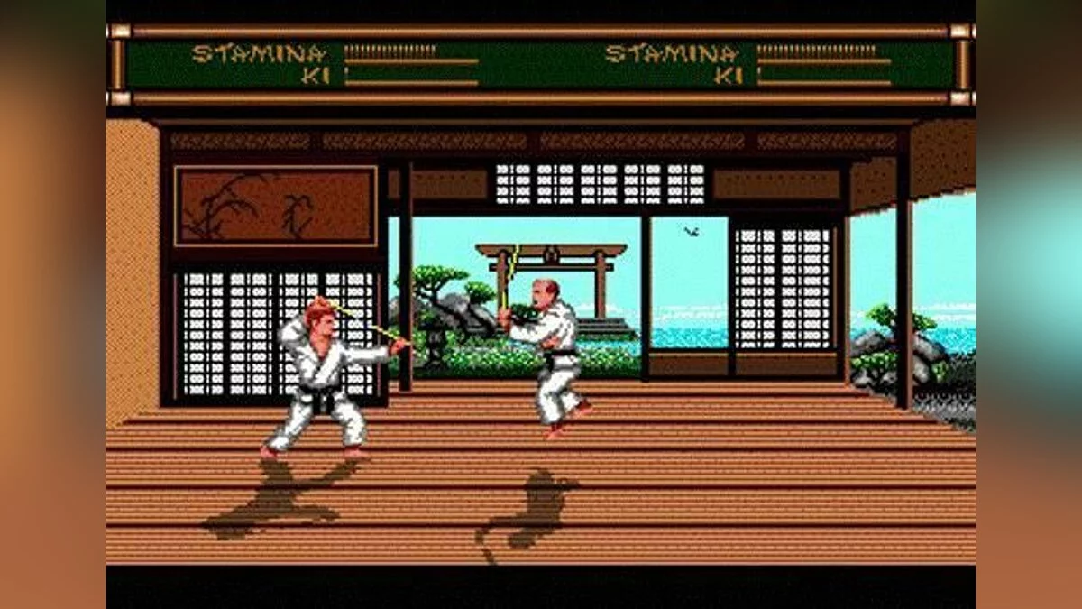 Скриншот из игры Budokan: The Martial Spirit - 10