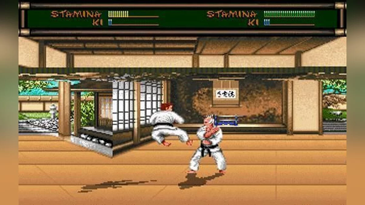 Скриншот из игры Budokan: The Martial Spirit - 5