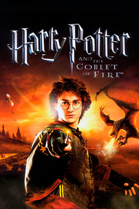 Обложка игры Harry Potter and the Goblet of Fire