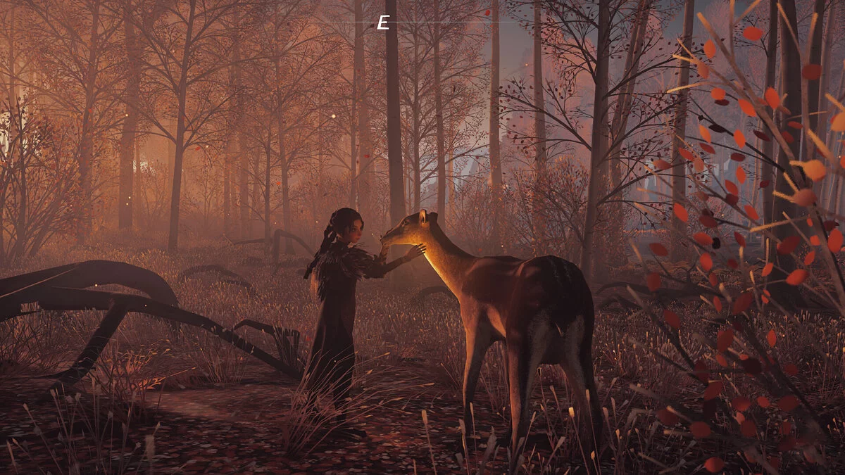 Скриншот из игры Reka - 9