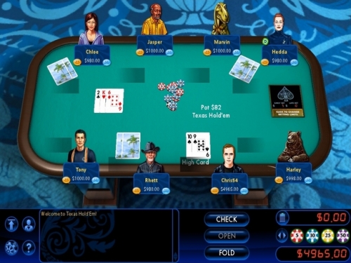 Скриншот из игры Hoyle Card Games 2010 - 11