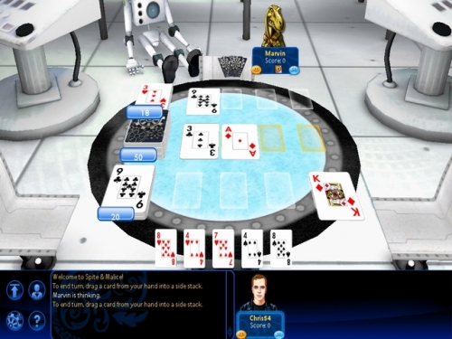 Скриншот из игры Hoyle Card Games 2010 - 10