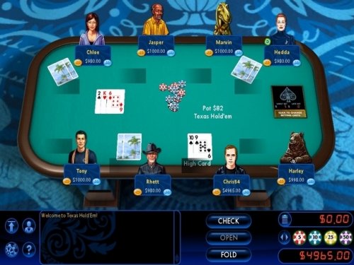 Скриншот из игры Hoyle Card Games 2010 - 5