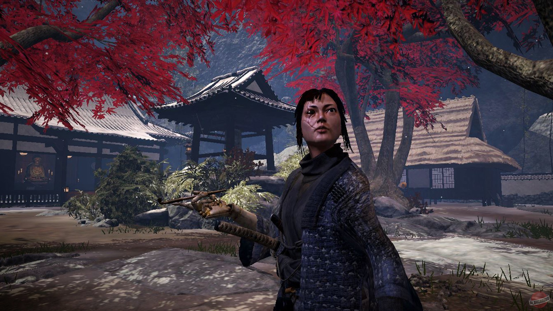 Скриншот из игры Arashi: Castles of Sin - 9