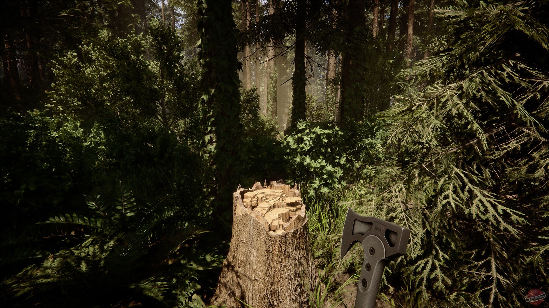 Скриншот из игры Sons of the Forest - 53