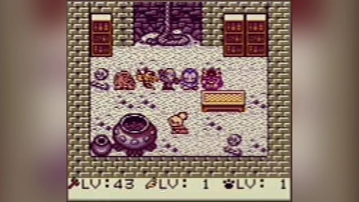 Скриншот из игры Dragon Warrior Monsters - 6