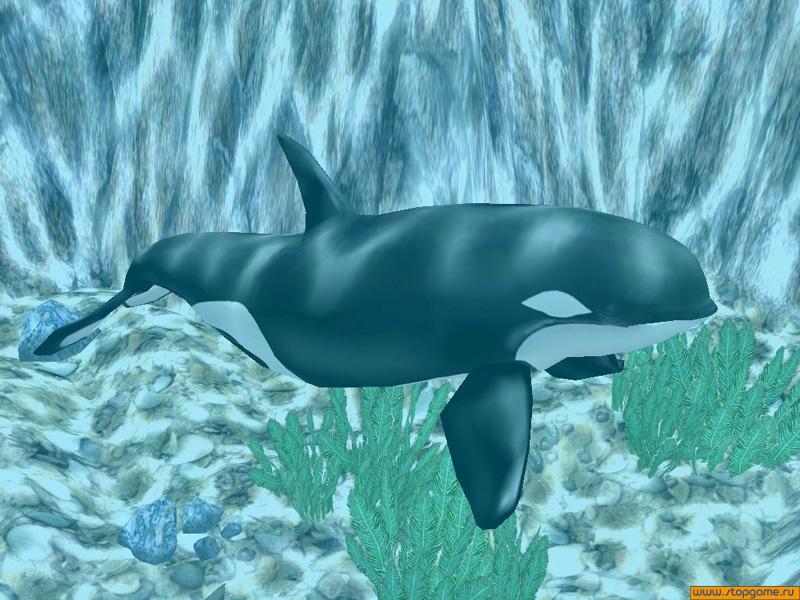 Скриншот из игры Marine Park Empire - 40