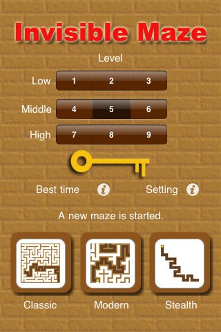 Скриншот из игры Invisible Maze - 3