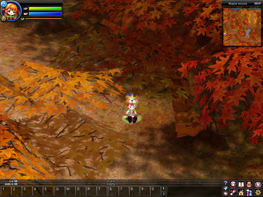 Скриншот из игры NosTale - 96