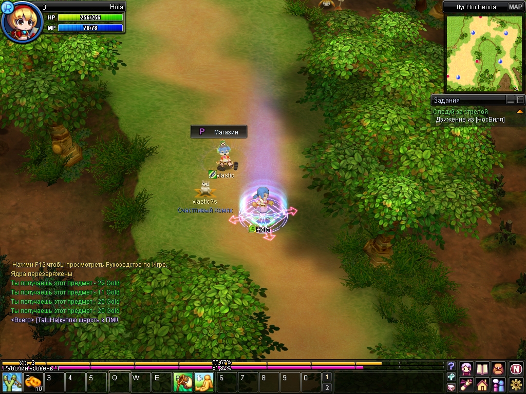 Скриншот из игры NosTale - 19