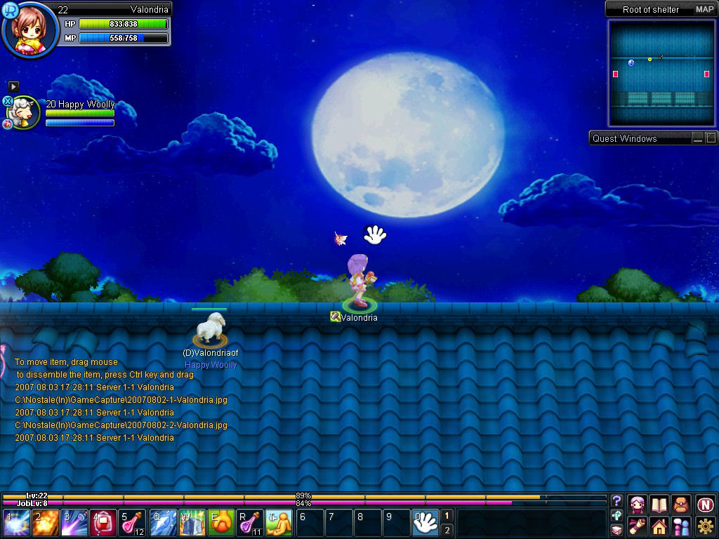 Скриншот из игры NosTale - 87