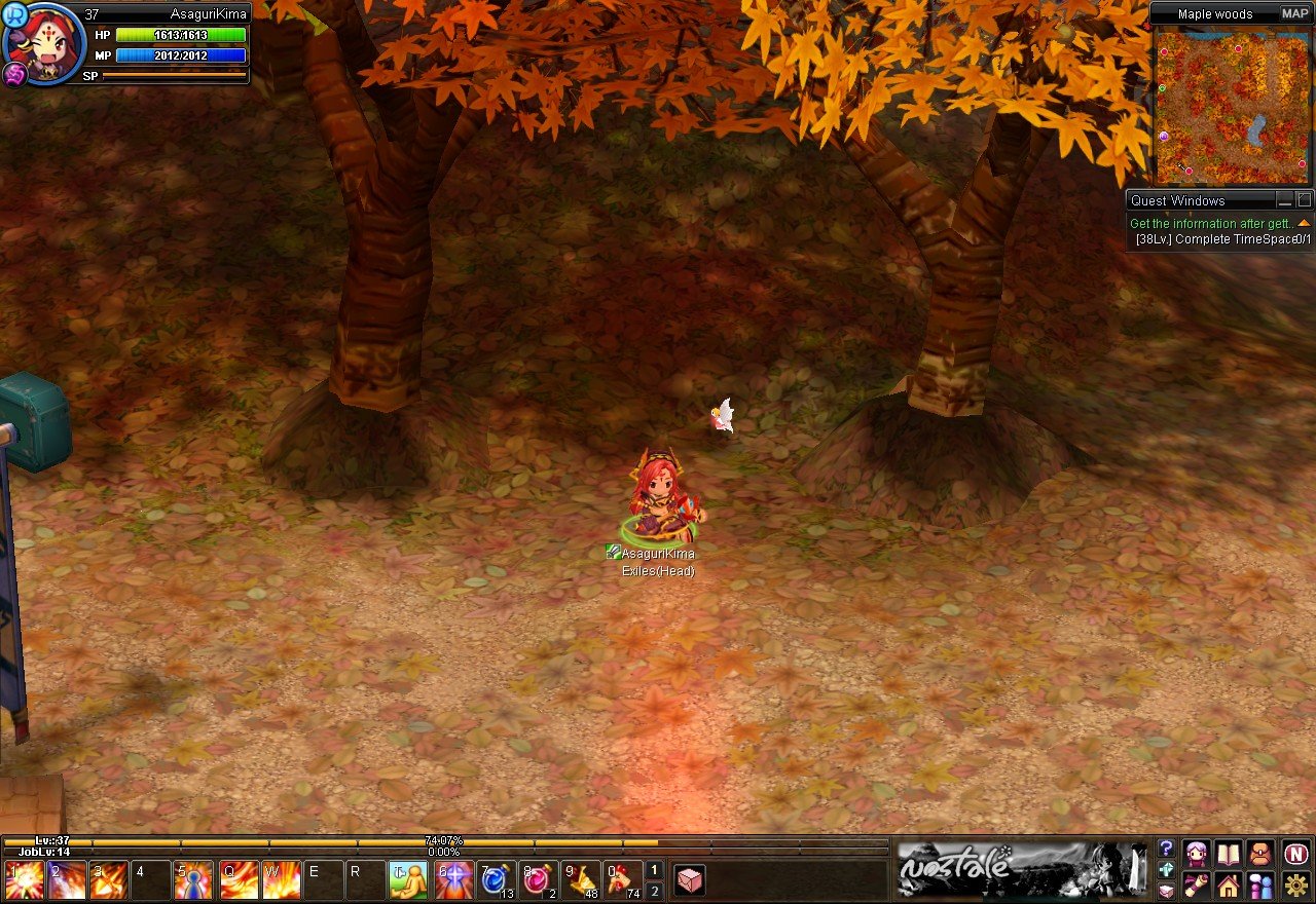 Скриншот из игры NosTale - 40