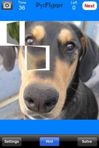 Скриншот из игры PicFlippr - 1