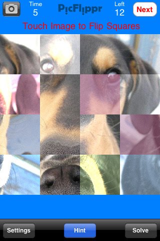 Скриншот из игры PicFlippr - 2