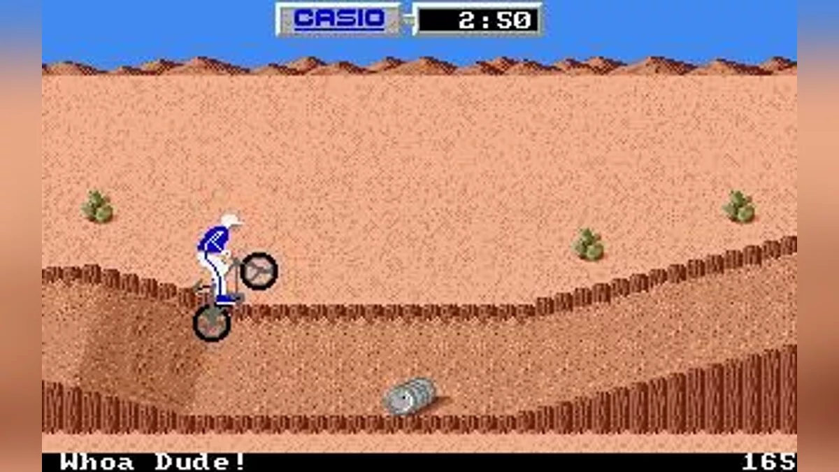 Скриншот из игры California Games - 1