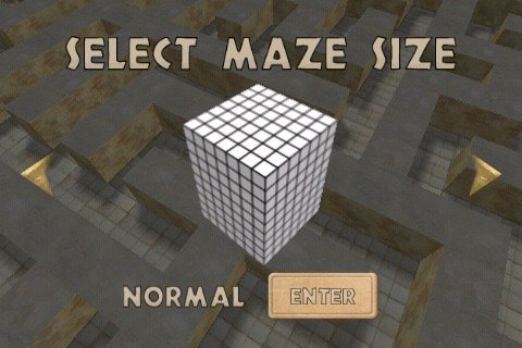 Скриншот из игры Realmaze3D - 1