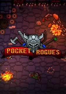 Обложка игры Pocket Rogues