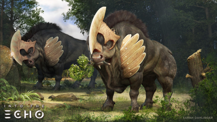 Скриншот из игры Into the Echo - 4