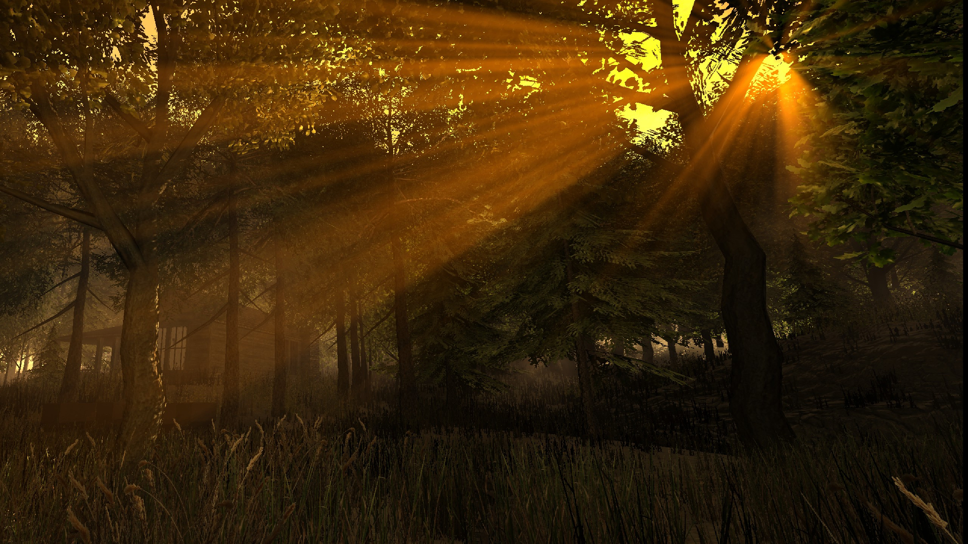 Скриншот из игры The Mors - 16