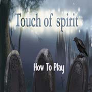 Обложка игры Touch of Spirit
