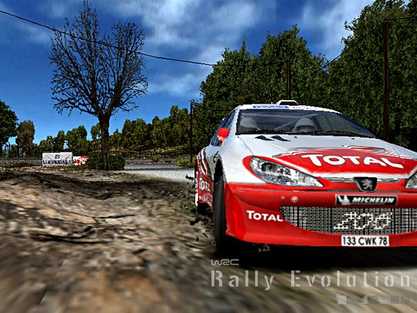 Скриншот из игры WRC: Rally Evolved - 14