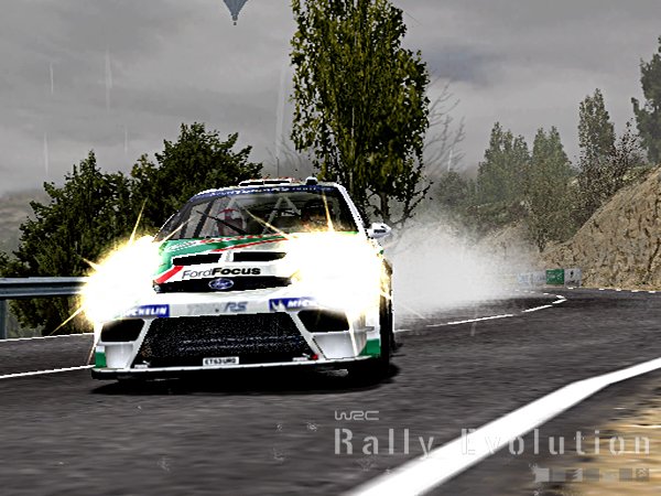 Скриншот из игры WRC: Rally Evolved - 7