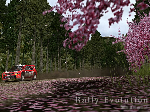 Скриншот из игры WRC: Rally Evolved - 10