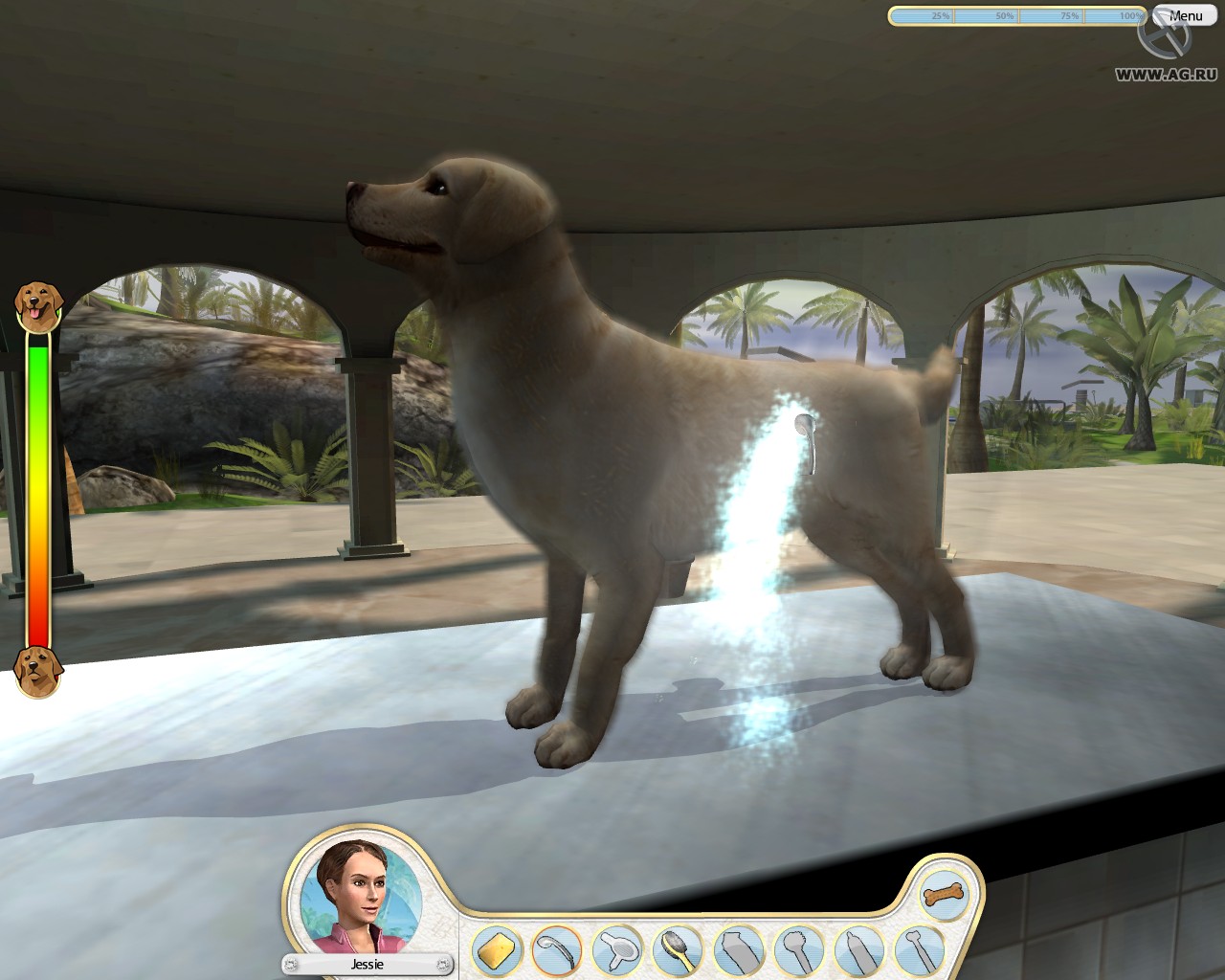 Скриншот из игры Paws & Claws: Pampered Pets - 20