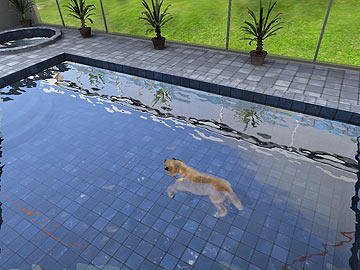 Скриншот из игры Paws & Claws: Pampered Pets - 4