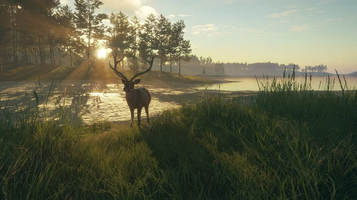Скриншот из игры theHunter: Call of the Wild - Te Awaroa National Park - 5