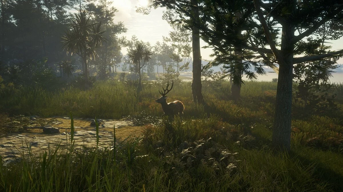 Скриншот из игры theHunter: Call of the Wild - Te Awaroa National Park - 2