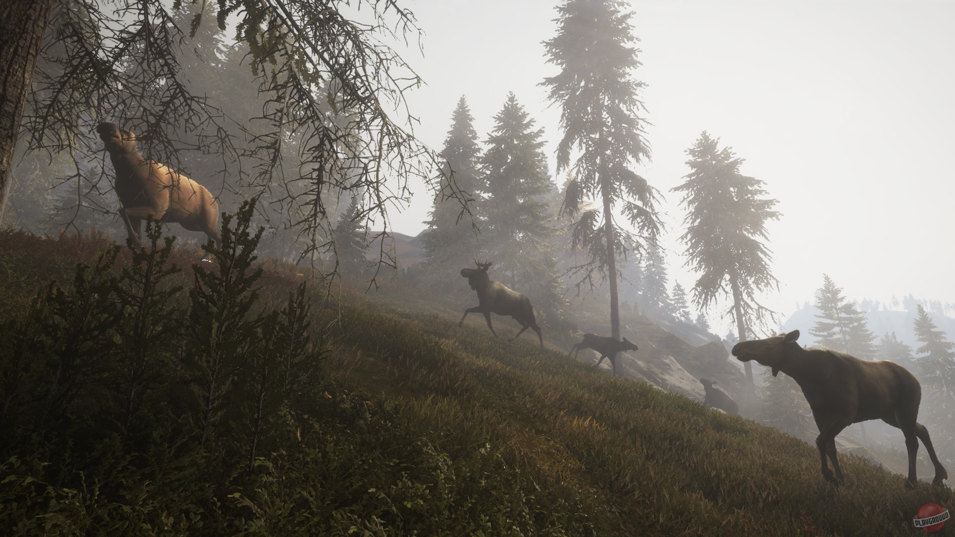 Скриншот из игры theHunter: Call of the Wild - 90