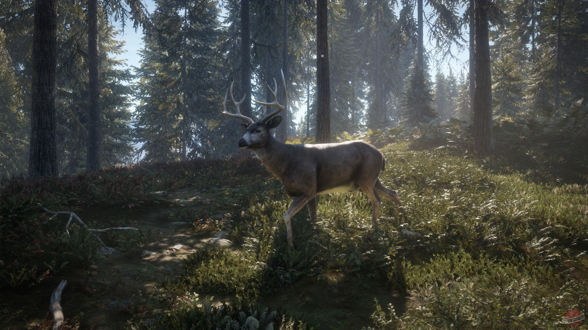 Скриншот из игры theHunter: Call of the Wild - 101