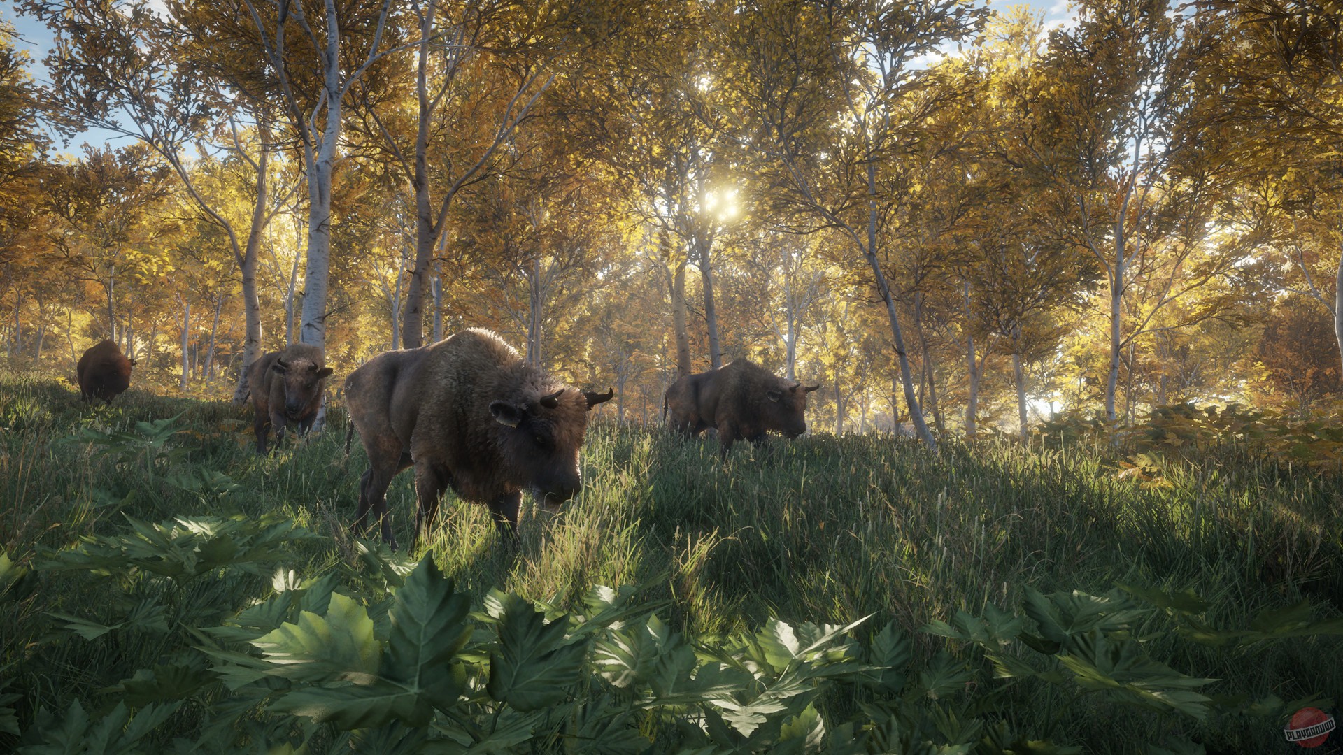 Скриншот из игры theHunter: Call of the Wild - 107