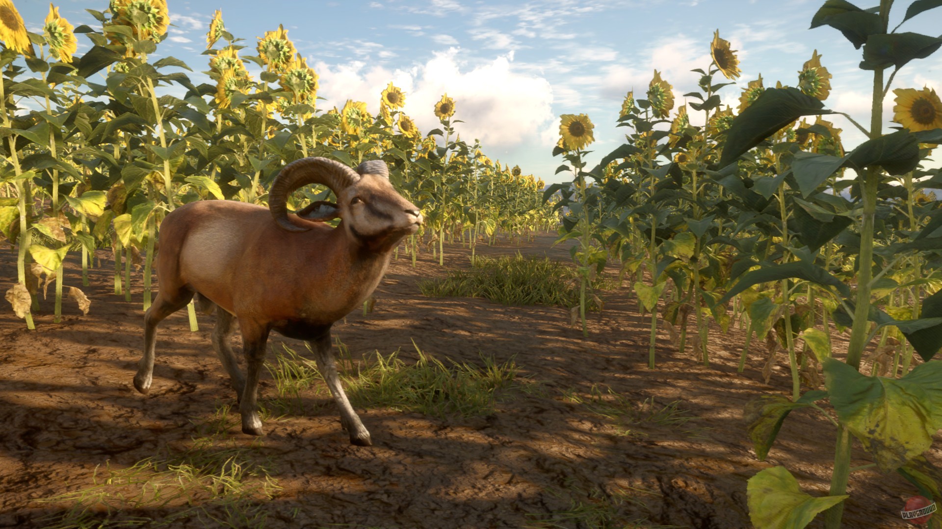 Скриншот из игры theHunter: Call of the Wild - 77