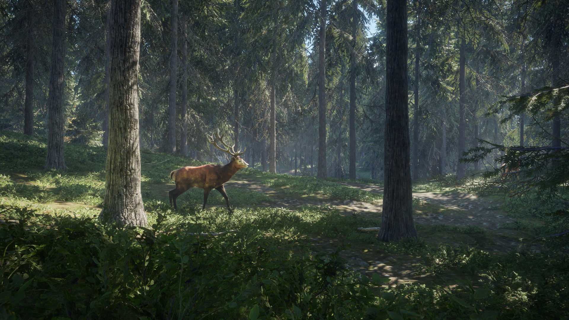 Скриншот из игры theHunter: Call of the Wild - 205