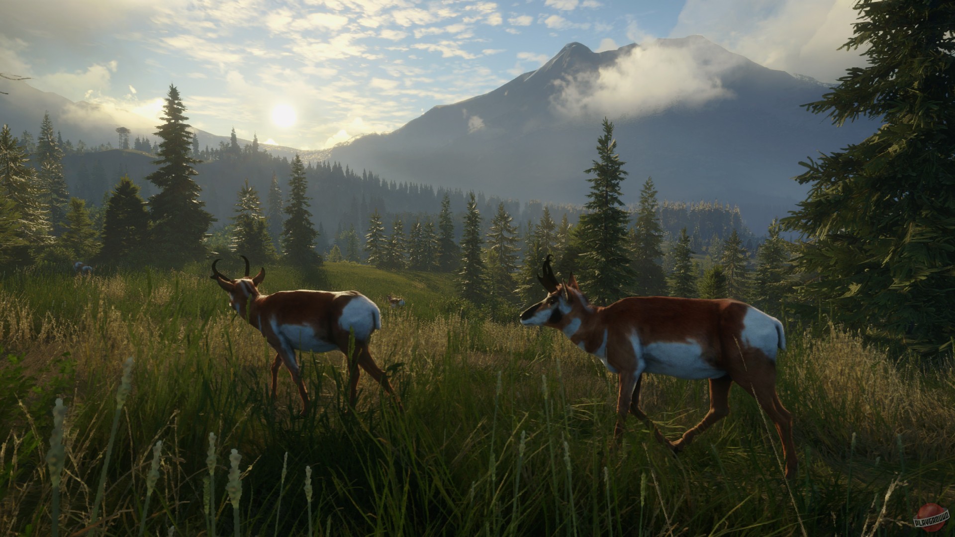 Скриншот из игры theHunter: Call of the Wild - 136