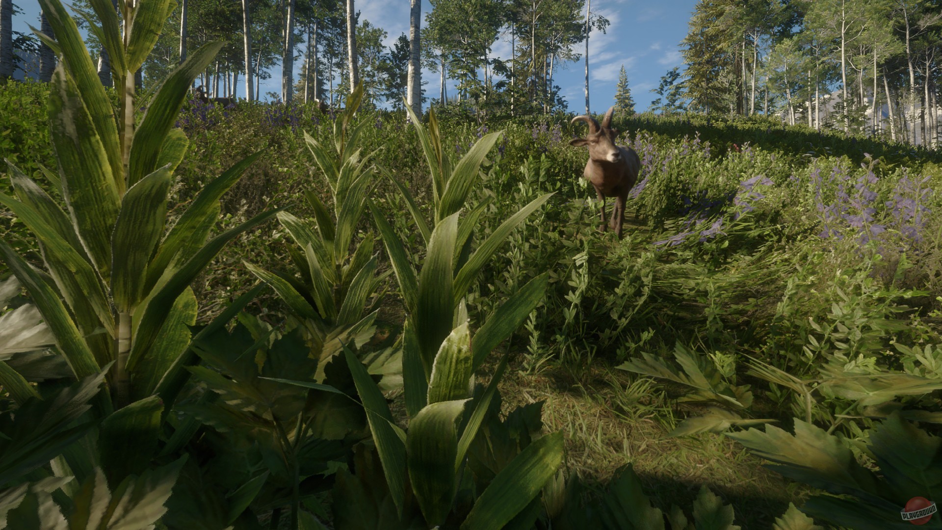 Скриншот из игры theHunter: Call of the Wild - 156